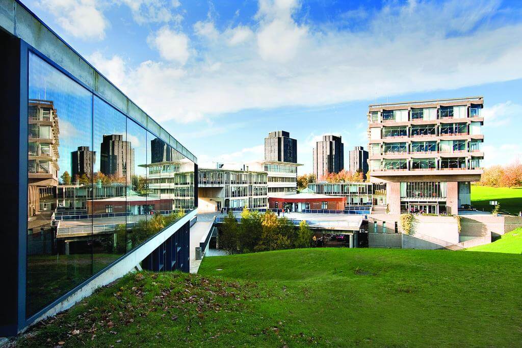(Czech) University of Essex