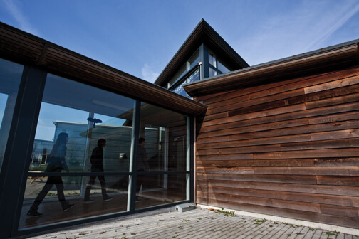Zealand Institute of Business and Technology