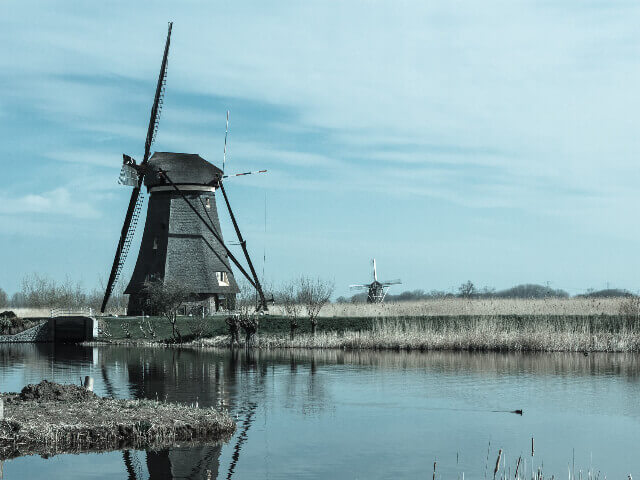 Study in the Netherlands